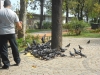 dscn4220-800x600modif